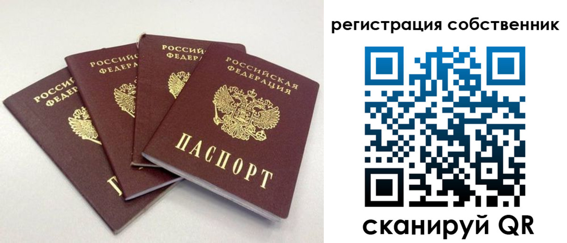 прописка для школы в Пласте